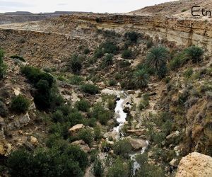 ecotourisme 4 blog etnafes