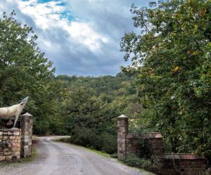 ecotourisme 7 blog etnafes