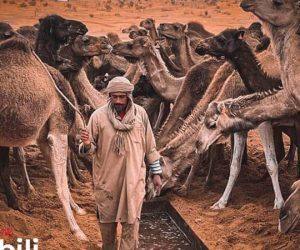 Tourisme Culturel en Tunisie 11 kebili tunisie blog etnafes 2