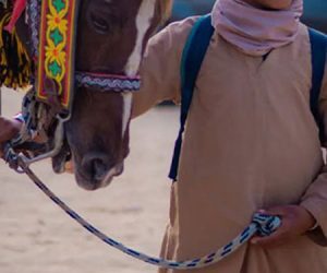 Tourisme Culturel en Tunisie 2 Sud Tunisien kebili tunisie1 blog etnafes