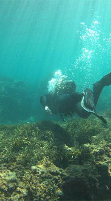 plongée sous marine mahdia Tunisie 2 blog Etnafes