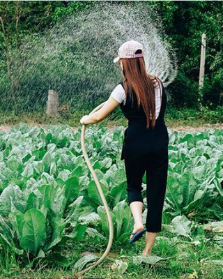 WWOOFing Tourisme en Tunisie