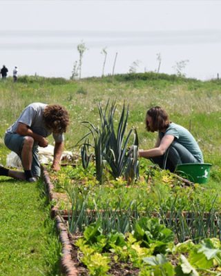 wwoofing blog etnafes 5