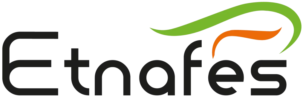 logo etnafes couleur